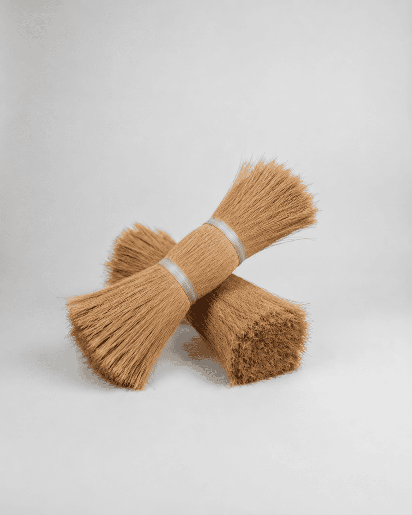 Natural brown coco bristle fibers bundled into two compact coconut fiber brush bundles, showcasing their coarse texture