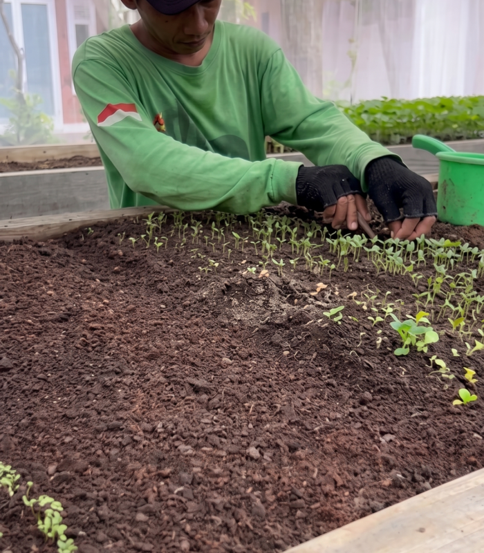 Cocopeat Quality & Application 2